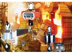 江苏耐高温挂构称,ocs-15t挂构称,耐高温挂钩秤维修_供应产品_苏州金钻商贸