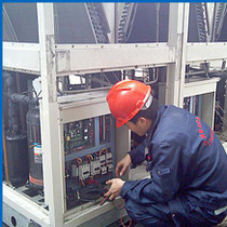 三维动画制作公司,嘉定区动画制作,艺虎动画(在线咨询)-江苏省徐州市邳州市银杏树苗木基地