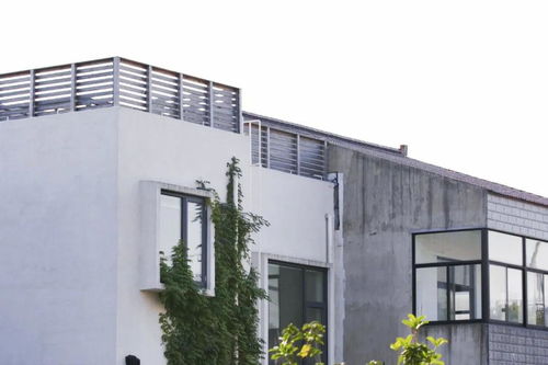 她回老家给爸妈造新式别墅,带动整条街翻新房子